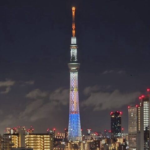 おやすみなさい