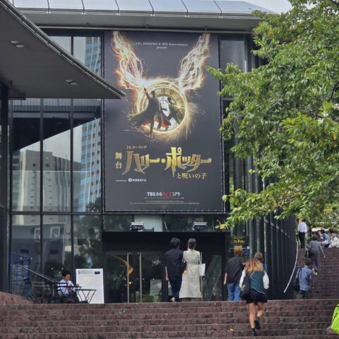 ハリー・ポッター 魔法と結婚